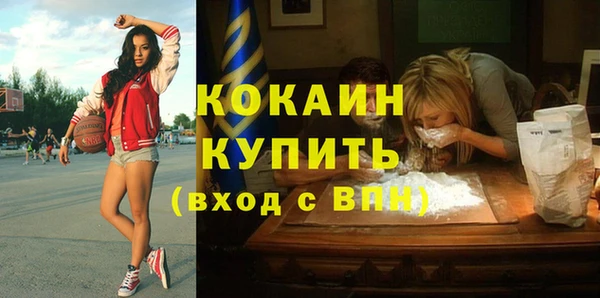 крисы Баксан