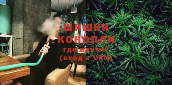 крисы Баксан