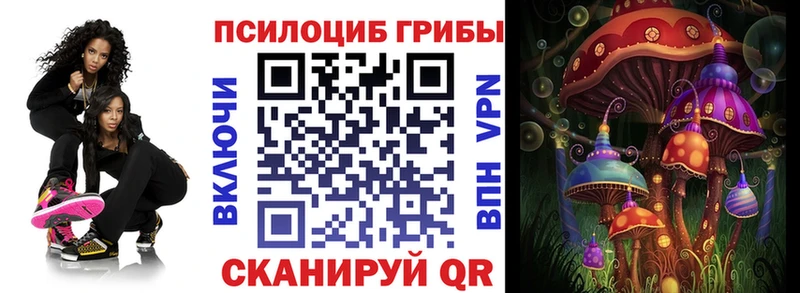 кракен ONION  Белово  Галлюциногенные грибы Psilocybine cubensis 